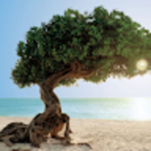 Meet your Posher, Tony